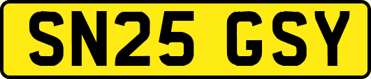 SN25GSY