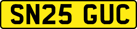 SN25GUC