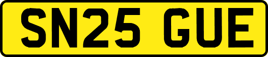 SN25GUE