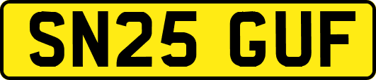 SN25GUF