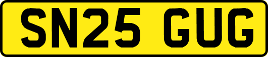 SN25GUG