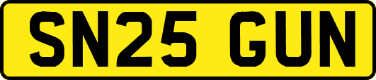 SN25GUN