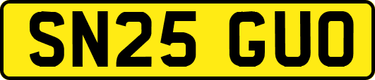 SN25GUO