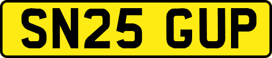 SN25GUP