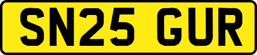 SN25GUR