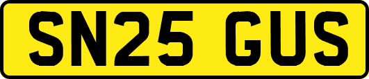 SN25GUS
