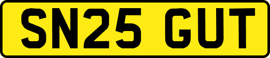 SN25GUT