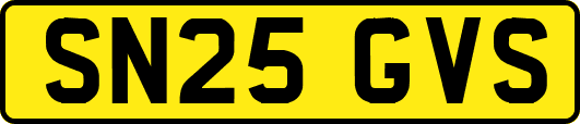 SN25GVS
