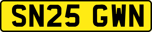 SN25GWN