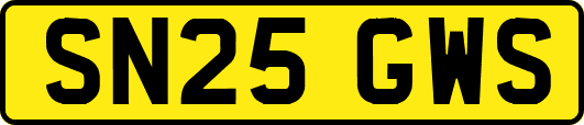 SN25GWS