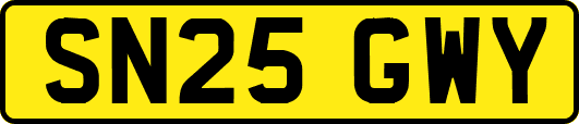 SN25GWY