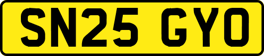 SN25GYO