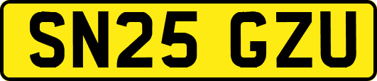 SN25GZU