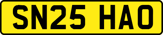 SN25HAO