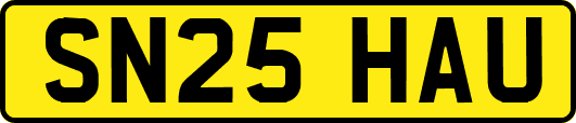 SN25HAU