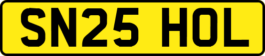 SN25HOL