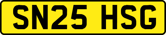 SN25HSG