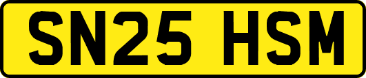 SN25HSM