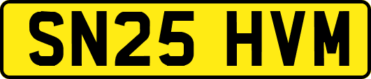 SN25HVM