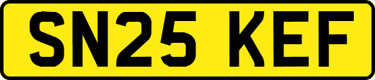 SN25KEF