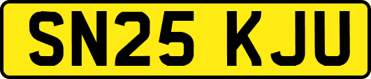 SN25KJU