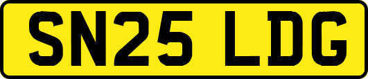 SN25LDG