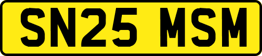 SN25MSM