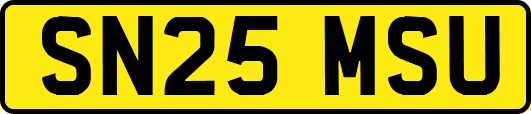 SN25MSU