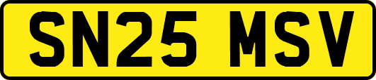 SN25MSV