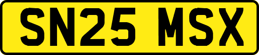SN25MSX