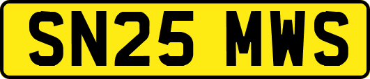 SN25MWS