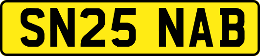 SN25NAB