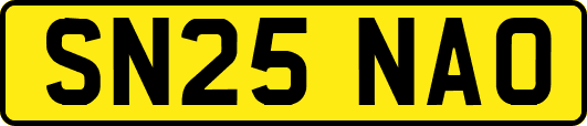 SN25NAO