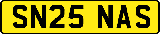 SN25NAS