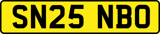 SN25NBO