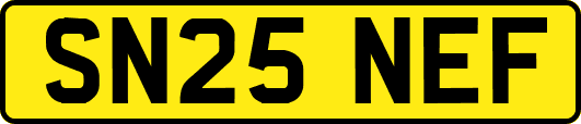 SN25NEF