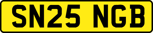 SN25NGB