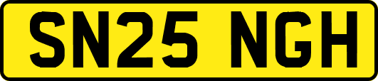 SN25NGH
