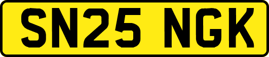 SN25NGK