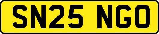 SN25NGO