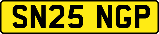 SN25NGP