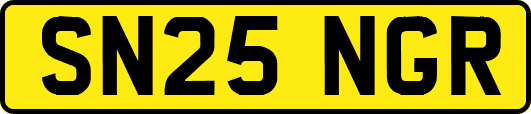 SN25NGR