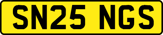 SN25NGS