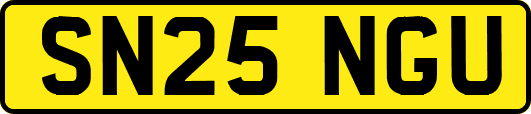 SN25NGU