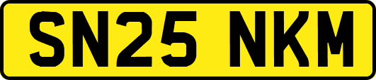 SN25NKM