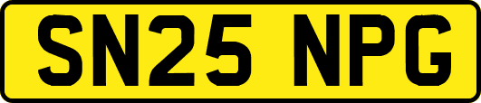 SN25NPG