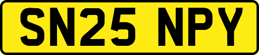 SN25NPY