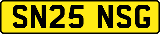 SN25NSG