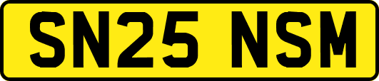 SN25NSM