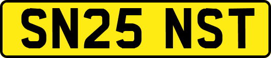 SN25NST